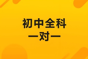 武汉十大综合实力强初中一对一课程辅导学校名单一览
