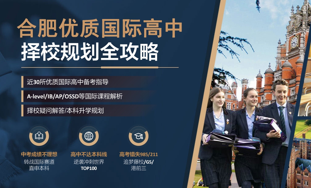 安徽合肥新航道国际高中学校一览