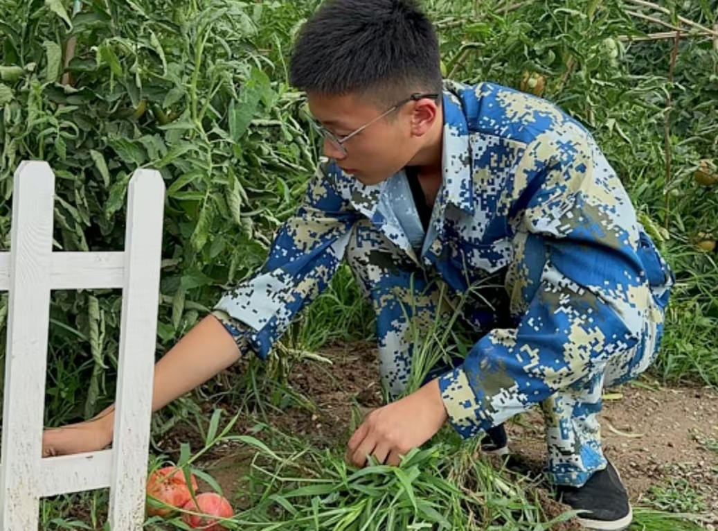 榜单汇总!廊坊市叛逆青少年戒网瘾学校排行榜名单