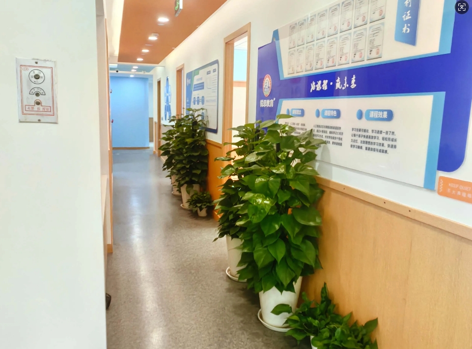 广州锐思教育初中1对1综合辅导培训机构