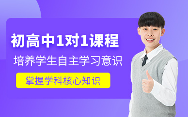 初高中一对一快速提高课程