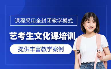 天津艺考生文化课冲刺课程