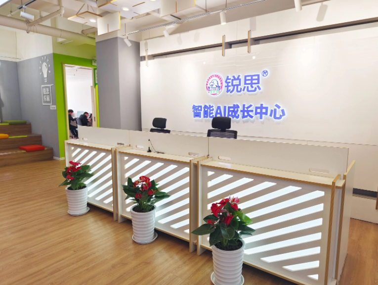 广州锐思教育-专注初高中一对一个性化辅导/高中全日制/艺考文化课