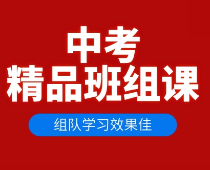 2026年推荐合肥各区初三一对一辅导机构排名一览-合肥锐思教育