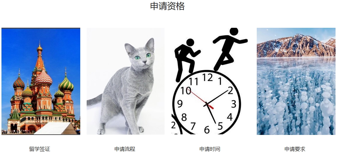 申请资格.png